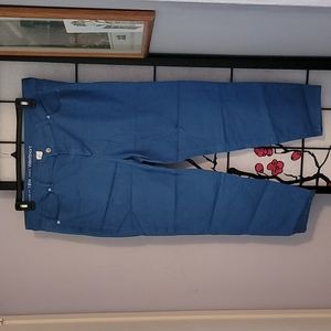 Blue Soft Curvy Fit Skinny Jeans 18W